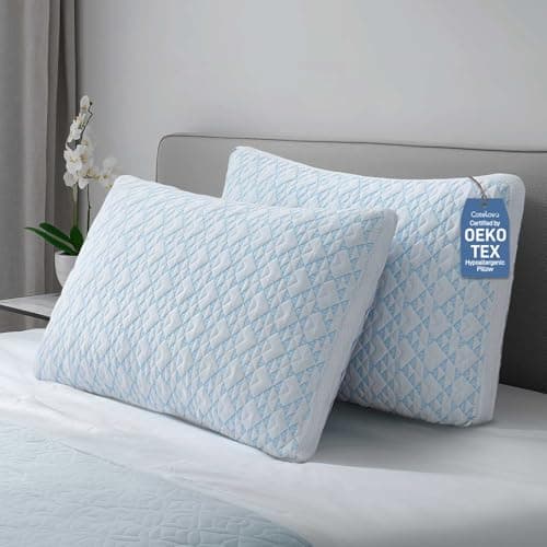 Shredded Memory Foam Cooling Soft Bamboo Viscose Pillows Queen Size Set of 2, Adjustable Hypoallergenic Hotel Quality Bed Pillows for Side, Back and Stomach Sleeper, Oeko-TEX Certified